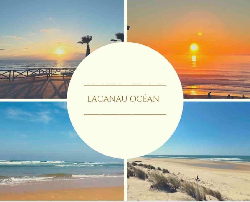 Cosy Studio Avec Vue Sur L'Ocean Lacanau Εξωτερικό φωτογραφία